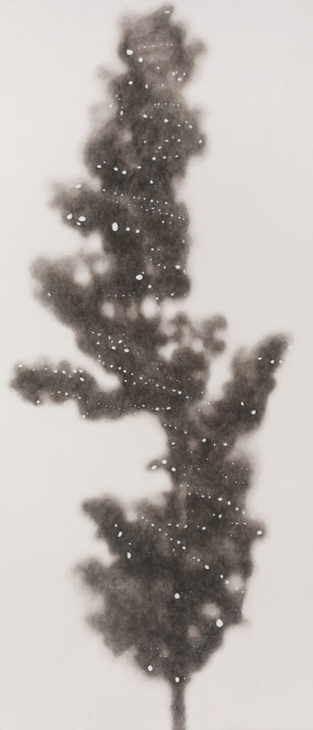 ○●나무3, 한지에 먹, 142x61cm, 2022