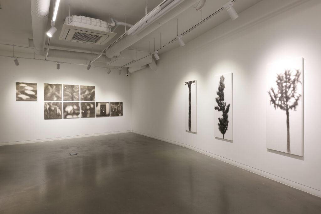 ○●나무에 부는 바람 전시전경2, 갤러리 밈, 2022