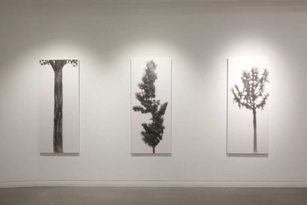 ○●나무에 부는 바람 전시전경5, 갤러리 밈, 2022