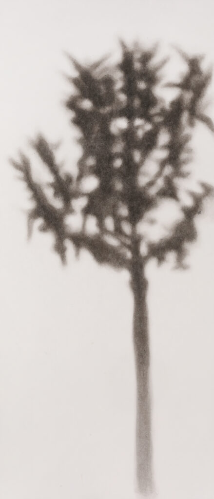 나무, 한지에 먹, 142x61cm, 2022