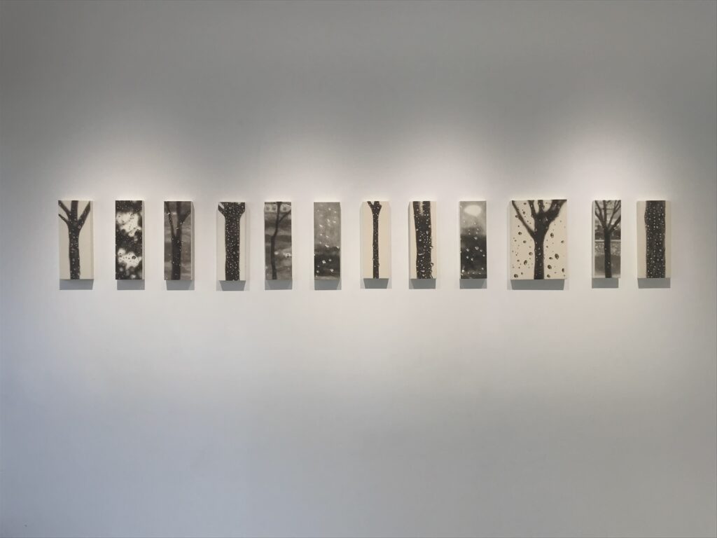 비 오는 770km의 풍경 전경사진2