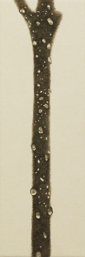 비 오는 770km의 풍경14, 한지에 먹, 30x10cm, 2024